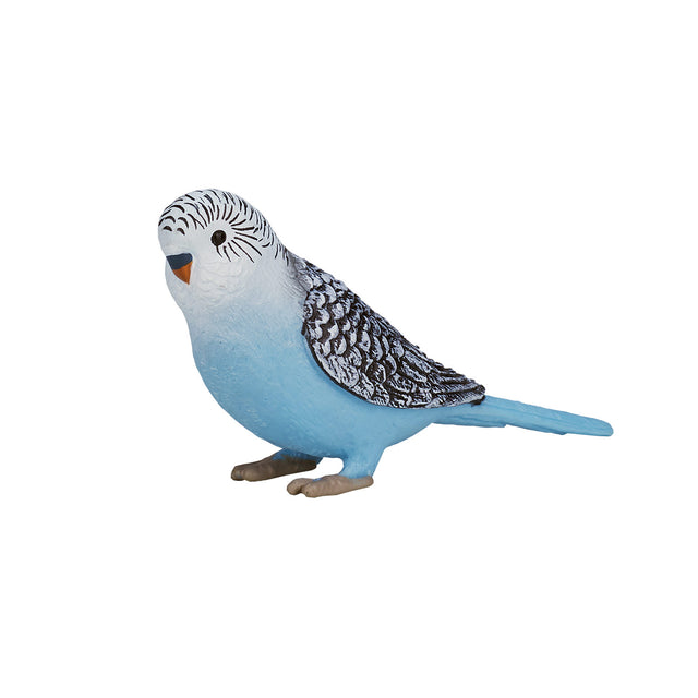 Pappagallino ondulato Mojo Farmland blu - 387292
