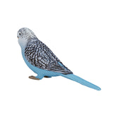 Pappagallino ondulato Mojo Farmland blu - 387292