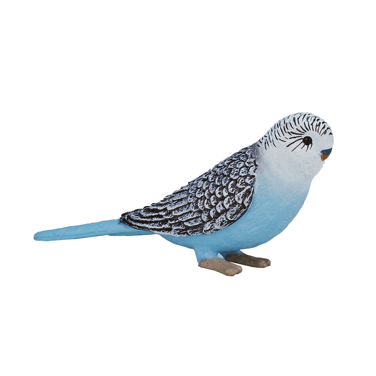Pappagallino ondulato Mojo Farmland blu - 387292
