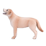 Labrador dei terreni agricoli Mojo - 387271