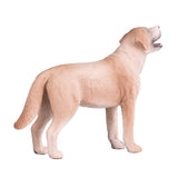 Labrador dei terreni agricoli Mojo - 387271