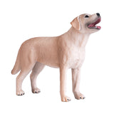 Labrador dei terreni agricoli Mojo - 387271