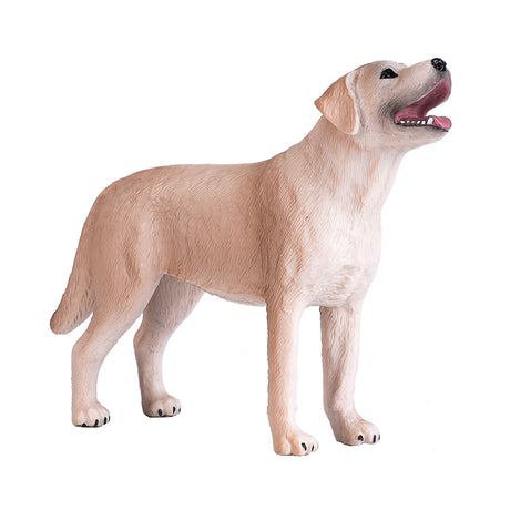 Labrador dei terreni agricoli Mojo - 387271