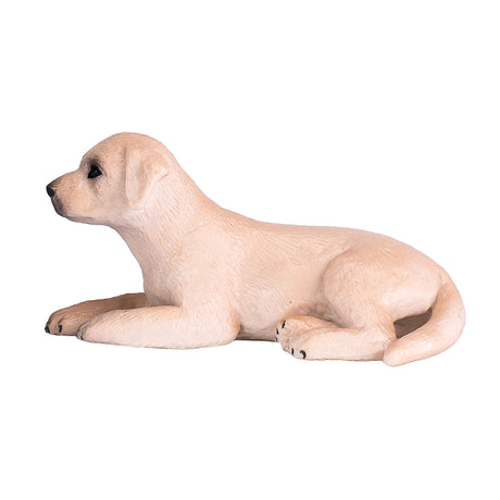Cucciolo di labrador dei terreni agricoli Mojo - 387272