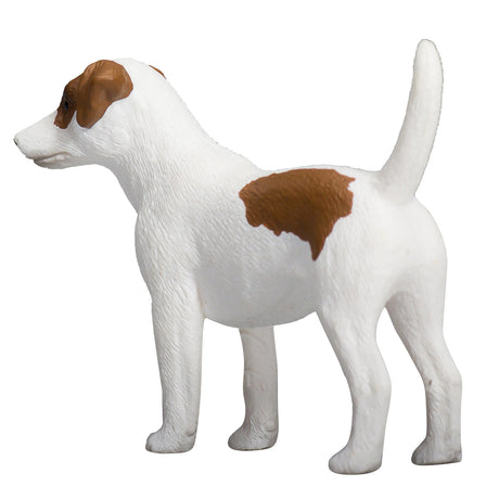 Jack Russell Terrier del terreno agricolo Mojo - 387286