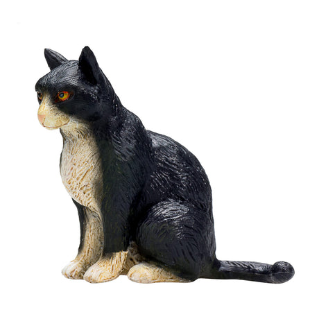 Mojo gatto seduto nei terreni agricoli in bianco e nero - 387371