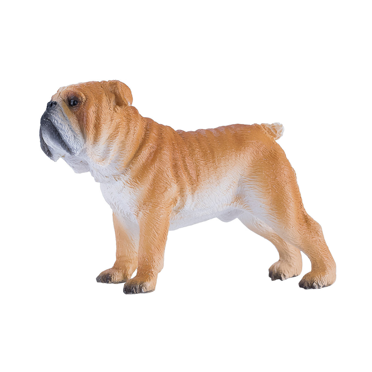Bulldog inglese Mojo Farmland - 381053