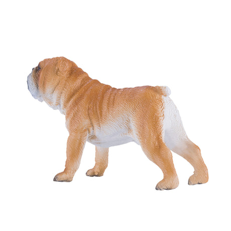 Bulldog inglese Mojo Farmland - 381053