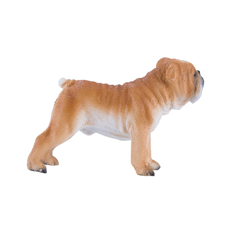 Bulldog inglese Mojo Farmland - 381053