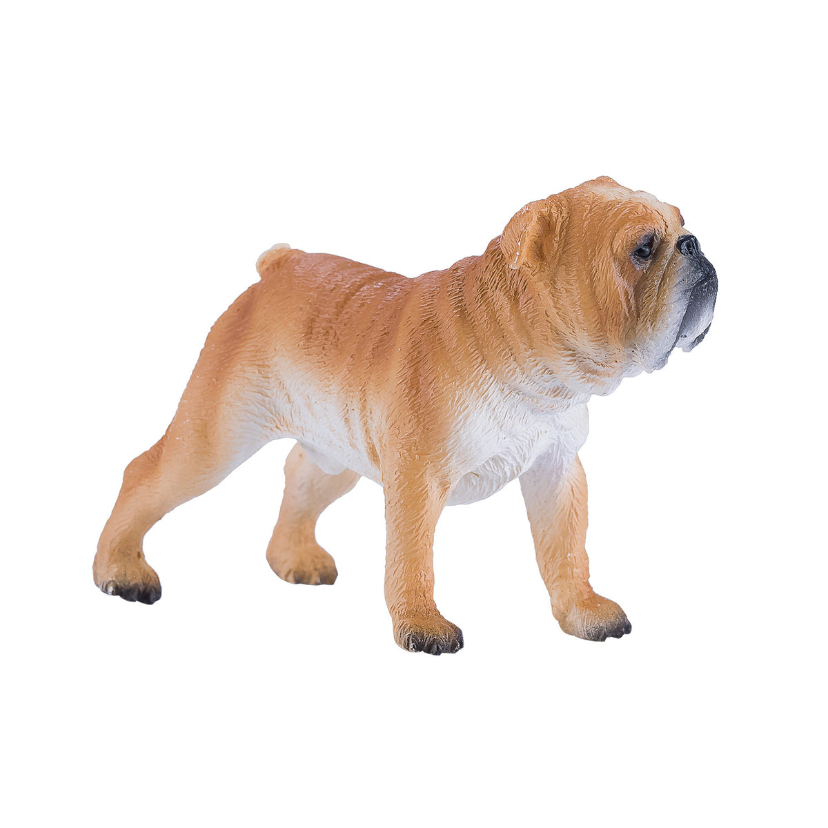 Bulldog inglese Mojo Farmland - 381053