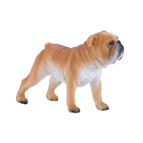 Bulldog inglese Mojo Farmland - 381053
