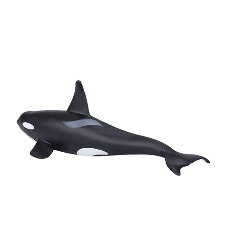 Orca maschio Mojo Sealife - 387114