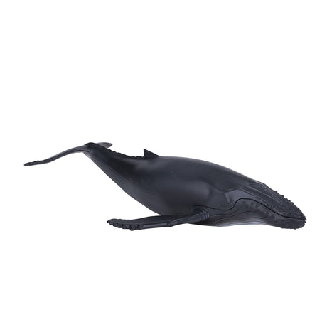 Mojo Sealife megattera - 387119