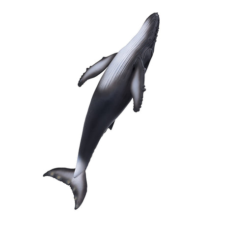 Mojo Sealife megattera - 387119