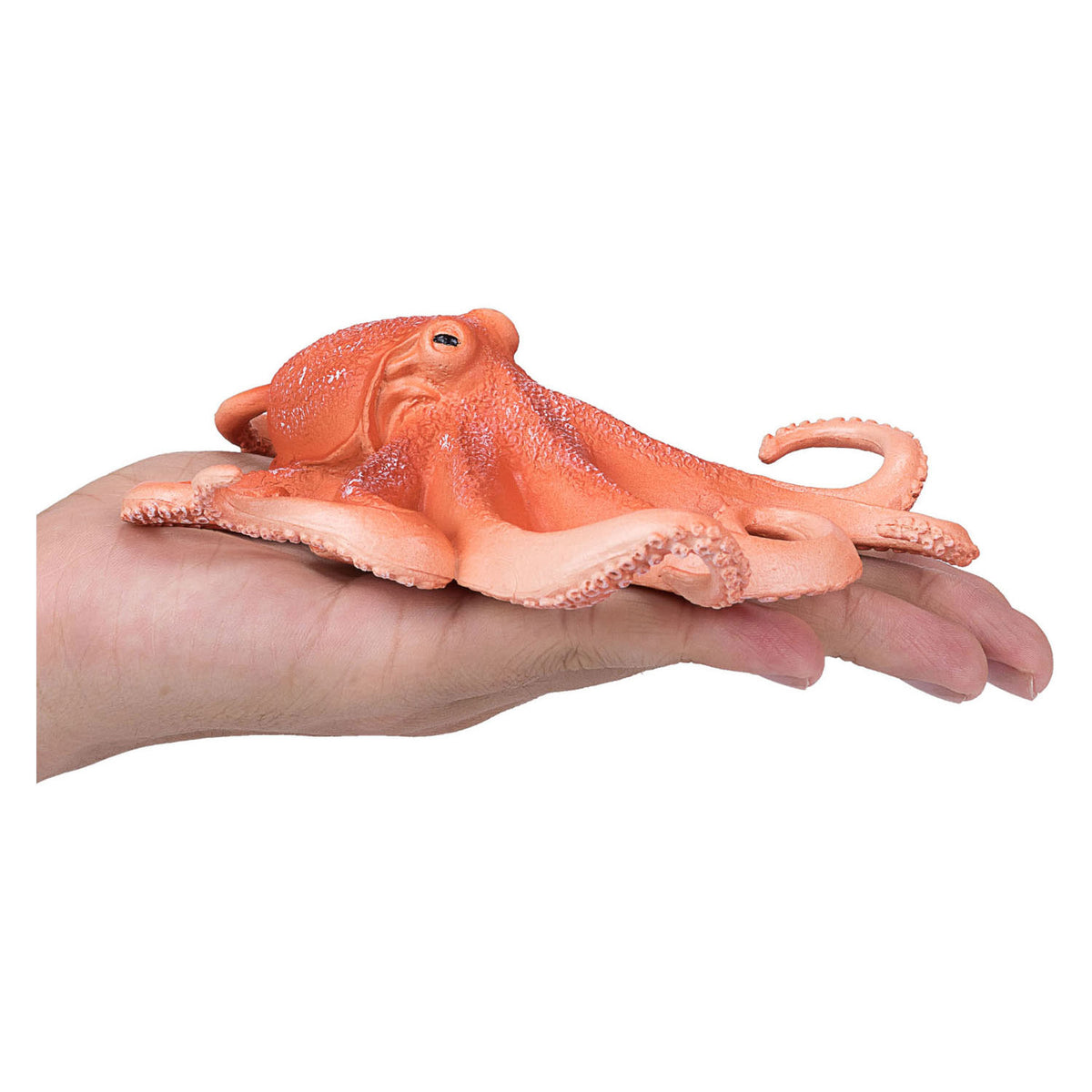Polpo Mojo Sealife 387275