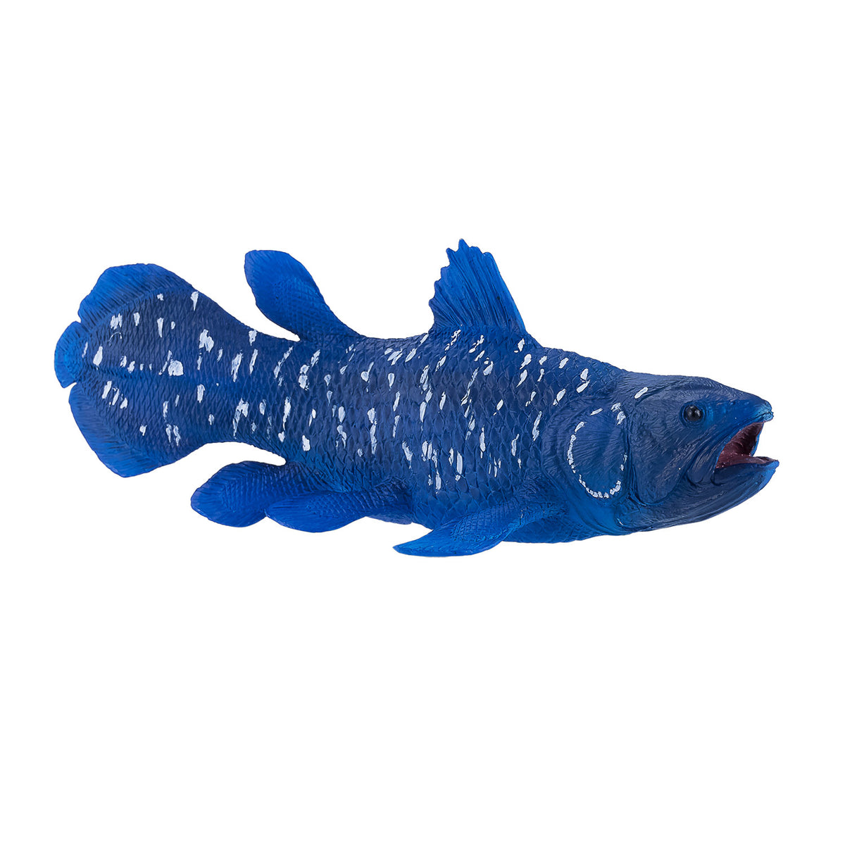 Mojo Sealife Celacanto - 381050