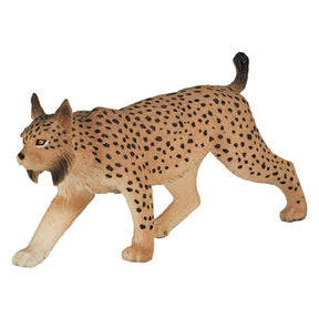 Mojo fauna selvatica Lince iberica - 387064