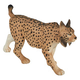 Mojo fauna selvatica Lince iberica - 387064