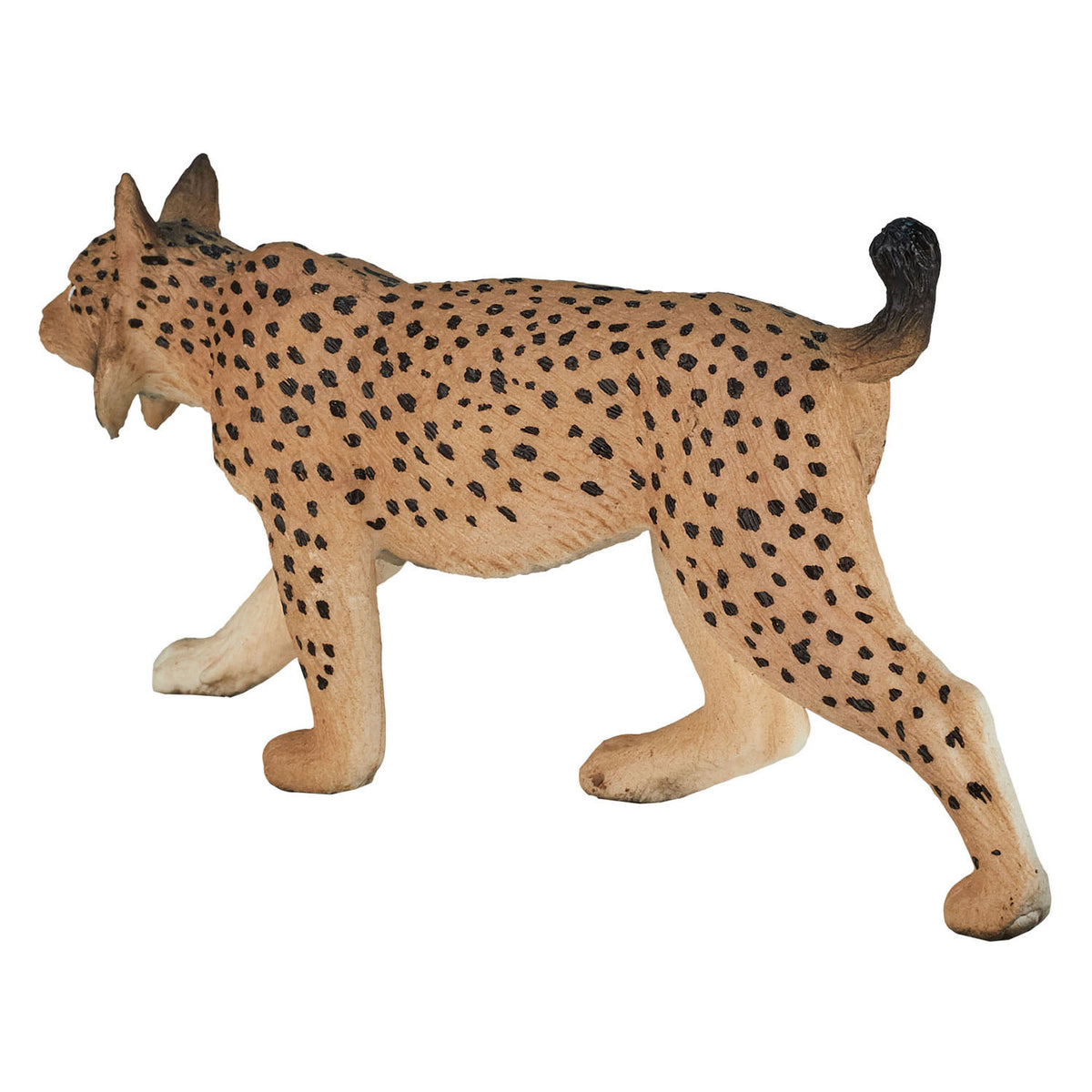 Mojo fauna selvatica Lince iberica - 387064