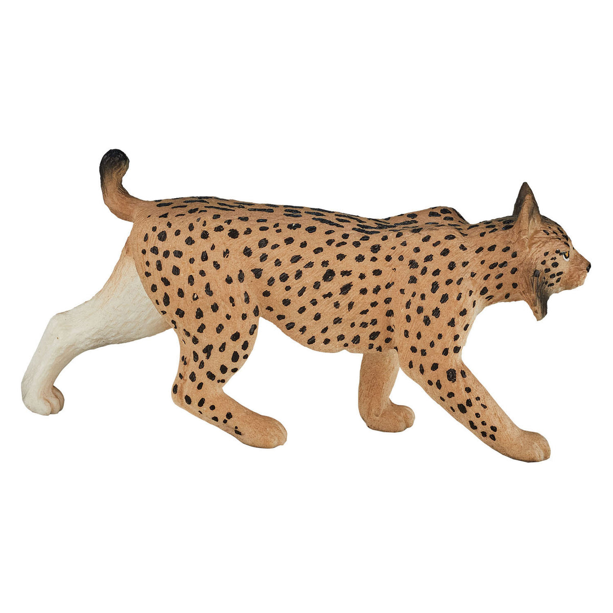 Mojo fauna selvatica Lince iberica - 387064