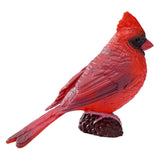 Mojo terreno agricolo rosso cardinale - 381117