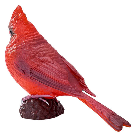 Mojo terreno agricolo rosso cardinale - 381117