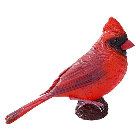 Mojo terreno agricolo rosso cardinale - 381117