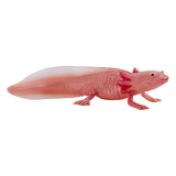Mojo fauna selvatica axolotl 381108