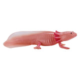 Mojo fauna selvatica axolotl 381108