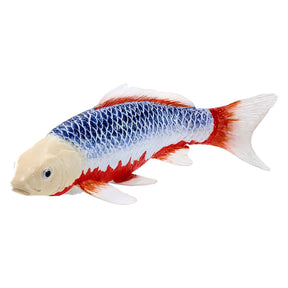 Carpa koi Mojo Sealife - Asagi Koi - 381100