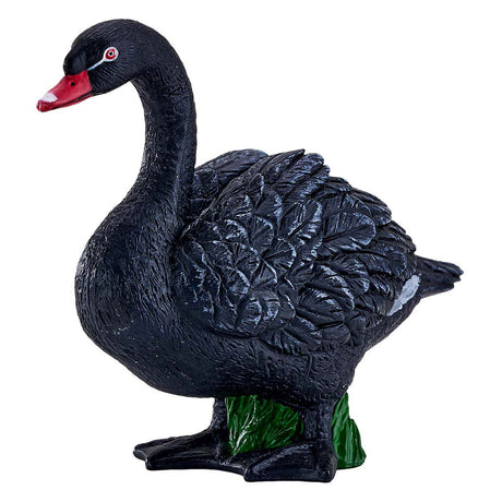 Cigno nero del terreno agricolo Mojo - 381067