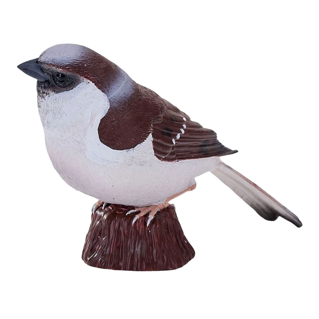 Mojo Garden Birds House Passero 381128