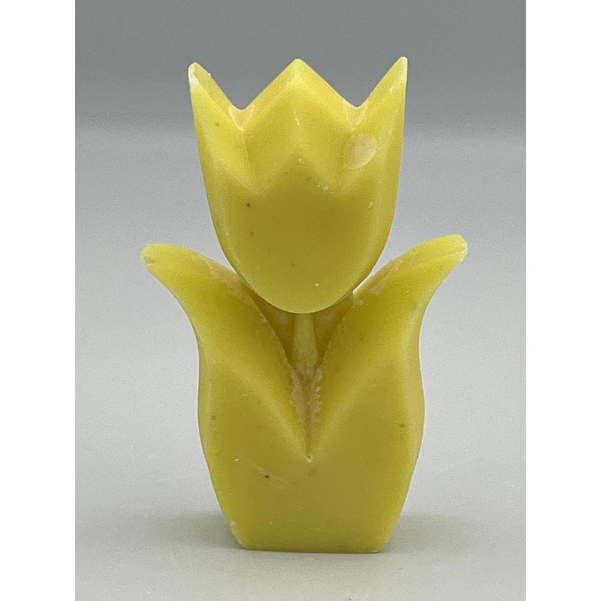 Vos decorazioni tulipano profumo pina colada