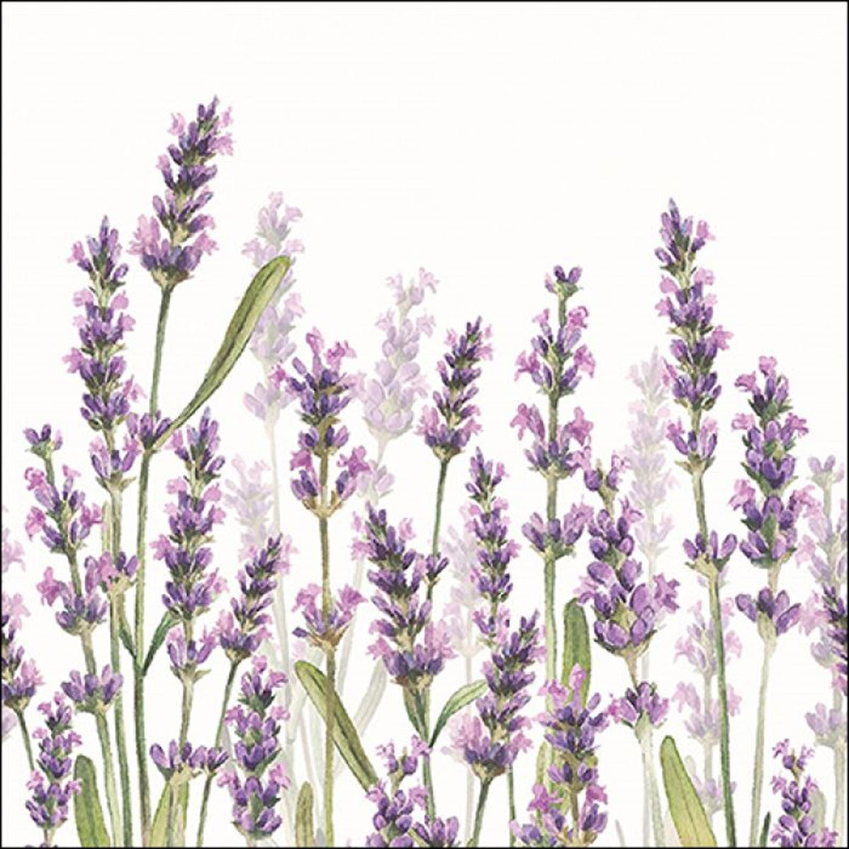 Tovaglioli Ambiente tonalità lavanda 33 cm