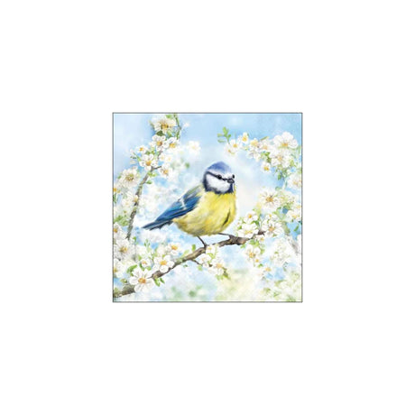 Ambiente servetten 33cm blossom time fsc mix