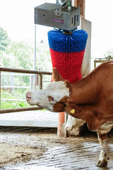 Prodotti happycow spazzola per mucche maxiswing