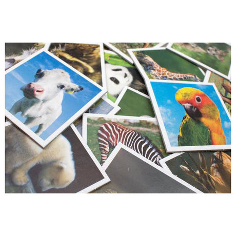 Promemoria tattico cuccioli di animali - gioco di promemoria - trova le coppie giuste - simpatici animaletti da tutto il mondo - gioco da tavolo educativo per bambini e famiglie - da 2 a 6 giocatori - a partire da 3 anni