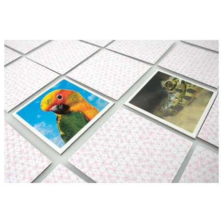 Promemoria tattico cuccioli di animali - gioco di promemoria - trova le coppie giuste - simpatici animaletti da tutto il mondo - gioco da tavolo educativo per bambini e famiglie - da 2 a 6 giocatori - a partire da 3 anni