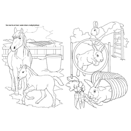 Libro da colorare Selecta Tactic Farm Animals - 48 pagine - libro da colorare per bambini - fattoria - da 2 anni
