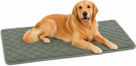 Cuscino per cani Flamingo - cuscino per cani ortopedico - cuscino per panca in memory foam - verde weimar xl - cuscino per cani extra large e confortevole - 116 cm