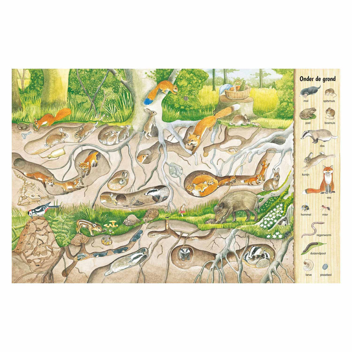 Il libro di ricerca e ricerca di Delta - nella foresta