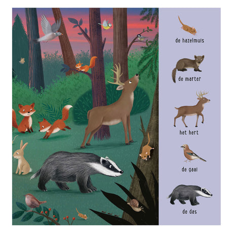 Delta è il mio primo libro di ricerca: animali da tutto il mondo