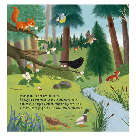 Delta è il mio primo libro di ricerca: animali nella foresta