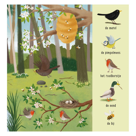 Delta è il mio primo libro di ricerca: animali nella foresta