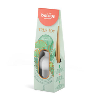 Bolsio | 2 pezzi