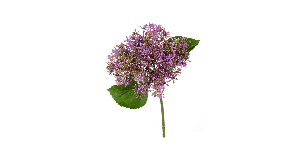 Sedum l30cm lila