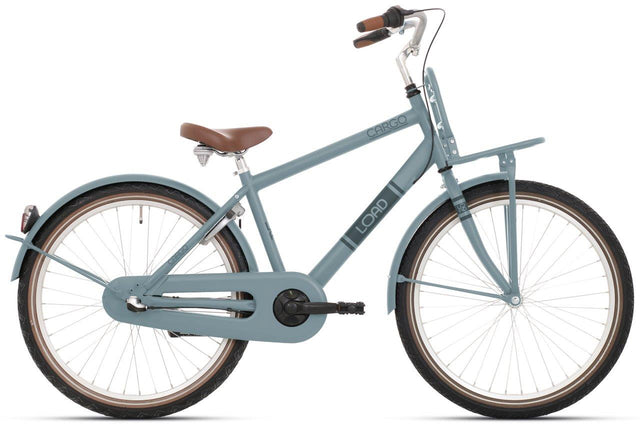 Bicicletta Bikefun 20 rn carico ragazzi