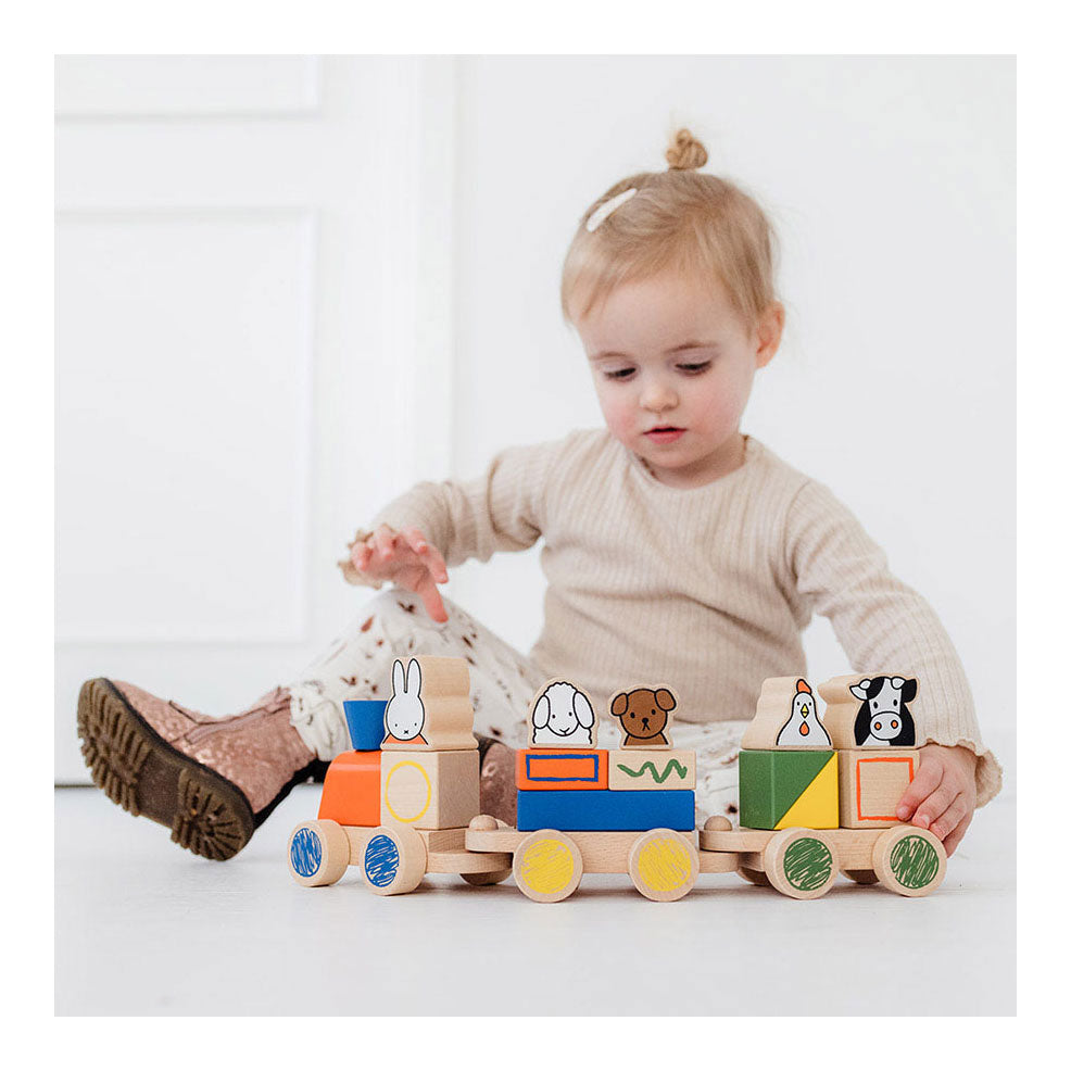 Bambolino giocattoli Miffy trenino in legno. 3+