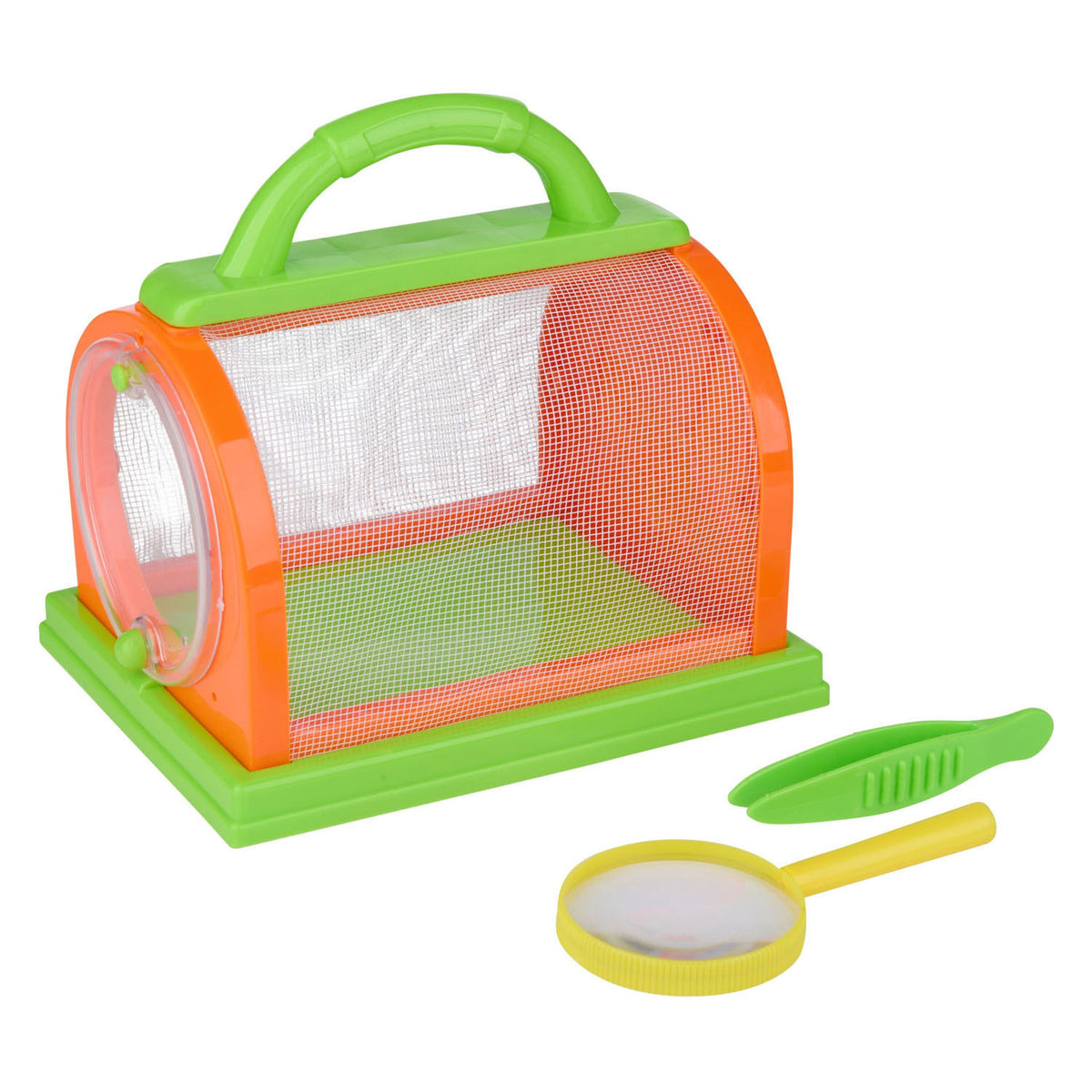 Scatola per insetti con accessori