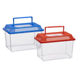 Cassetta per insetti senza marchio con coperchio - cassetta per insetti in plastica trasparente da 1,8 litri.
